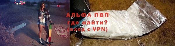 трава Карпинск