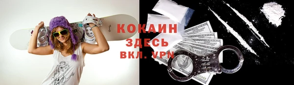 шишки Алексин