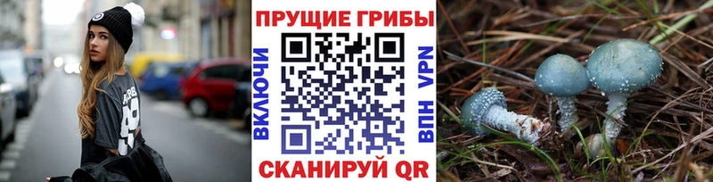 Галлюциногенные грибы Cubensis  Чухлома 